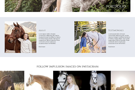 screenshot impulsion images website